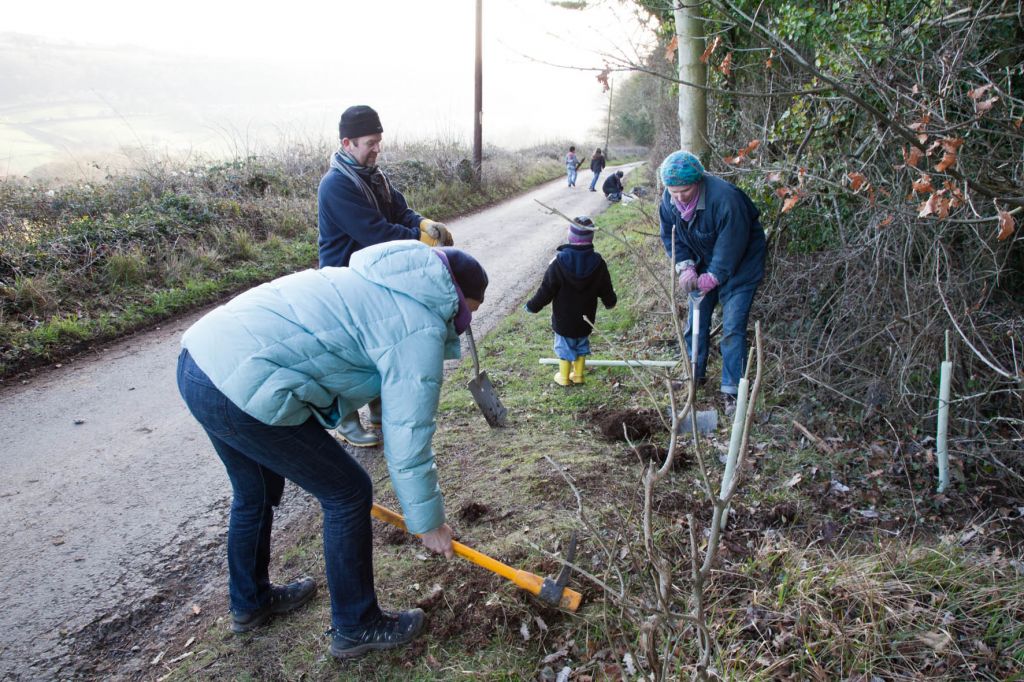 Tree planting